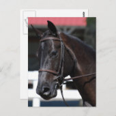 製品カスタマイズ ポストカード (正面/裏面)