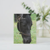 製品カスタマイズ ポストカード (スタンド正面)