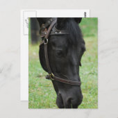 製品カスタマイズ ポストカード (正面/裏面)