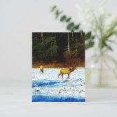 製品カスタマイズ ポストカード (スタンド正面)