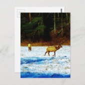 製品カスタマイズ ポストカード (正面/裏面)