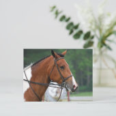 製品カスタマイズ ポストカード (スタンド正面)