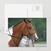 製品カスタマイズ ポストカード (正面/裏面)