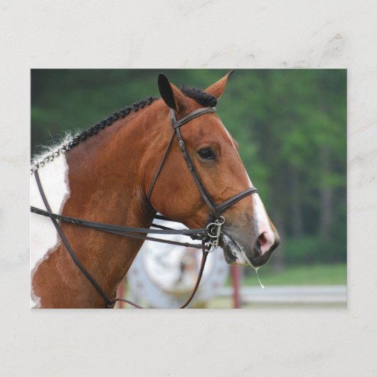 製品カスタマイズ ポストカード (正面)