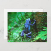 製品カスタマイズ ポストカード (正面/裏面)