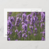 製品カスタマイズ ポストカード (正面/裏面)