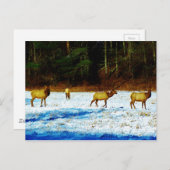 製品カスタマイズ ポストカード (正面/裏面)