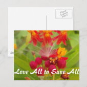 製品カスタマイズ ポストカード (正面/裏面)