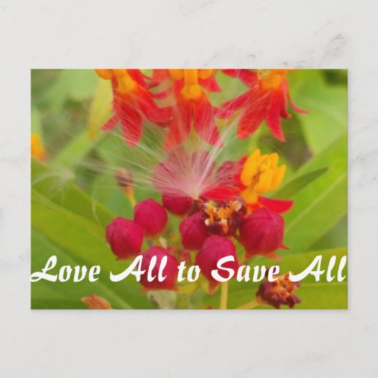 製品カスタマイズ ポストカード (正面)