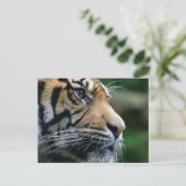 製品カスタマイズ ポストカード (スタンド正面)