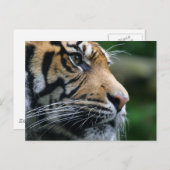 製品カスタマイズ ポストカード (正面/裏面)