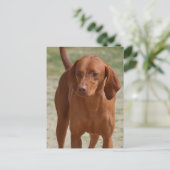 製品カスタマイズ ポストカード (スタンド正面)