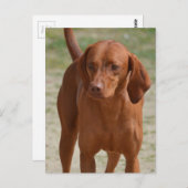 製品カスタマイズ ポストカード (正面/裏面)