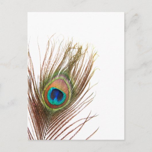 製品カスタマイズ ポストカード (正面)