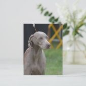 製品カスタマイズ ポストカード (スタンド正面)