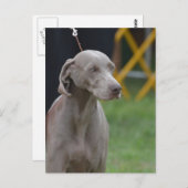 製品カスタマイズ ポストカード (正面/裏面)