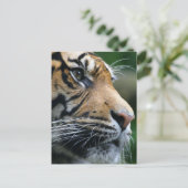 製品カスタマイズ ポストカード (スタンド正面)