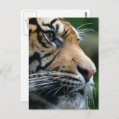 製品カスタマイズ ポストカード (正面/裏面)