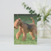 製品カスタマイズ ポストカード (スタンド正面)