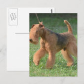 製品カスタマイズ ポストカード (正面/裏面)