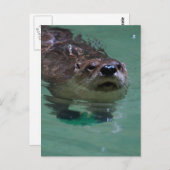 製品カスタマイズ ポストカード (正面/裏面)