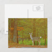 製品カスタマイズ ポストカード (正面/裏面)