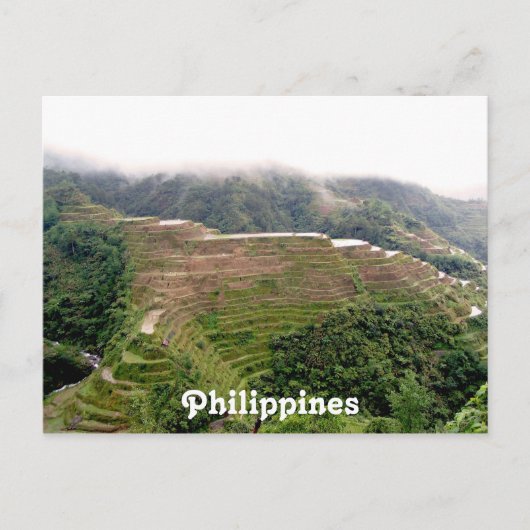 製品カスタマイズ ポストカード (正面)