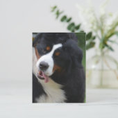 製品カスタマイズ ポストカード (スタンド正面)