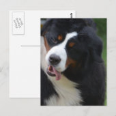 製品カスタマイズ ポストカード (正面/裏面)