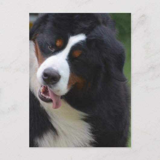 製品カスタマイズ ポストカード (正面)