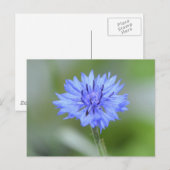 製品カスタマイズ ポストカード (正面/裏面)