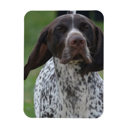 製品カスタマイズ マグネット (縦)