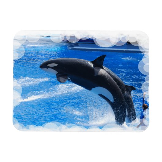 製品カスタマイズ マグネット (横)