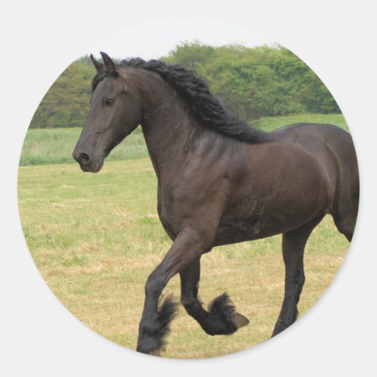 製品カスタマイズ ラウンドシール (正面)