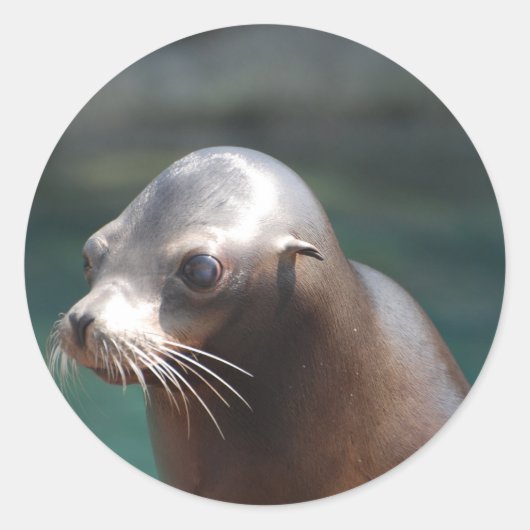 製品カスタマイズ ラウンドシール (正面)