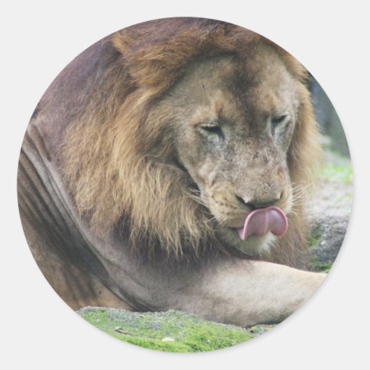 製品カスタマイズ ラウンドシール (正面)