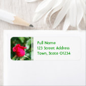 製品カスタマイズ ラベル (インサイチュ)