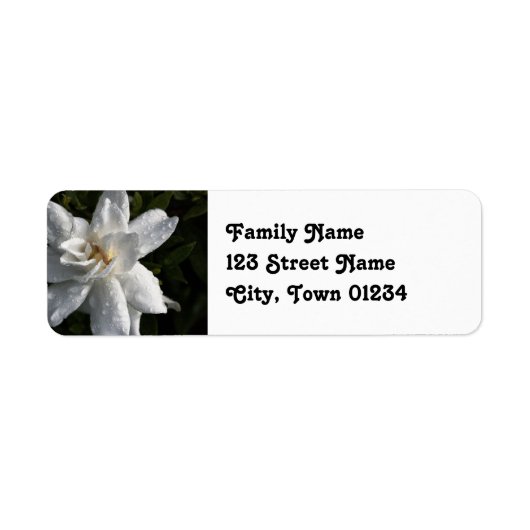 製品カスタマイズ ラベル (正面)