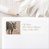 製品カスタマイズ ラベル (インサイチュ)