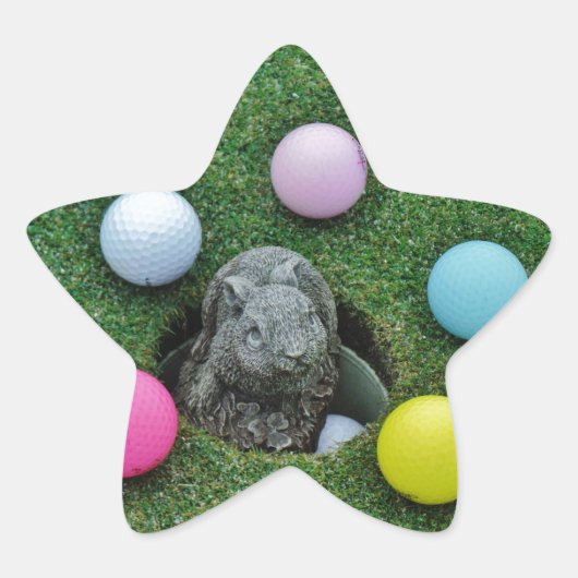 製品カスタマイズ 星シール (正面)