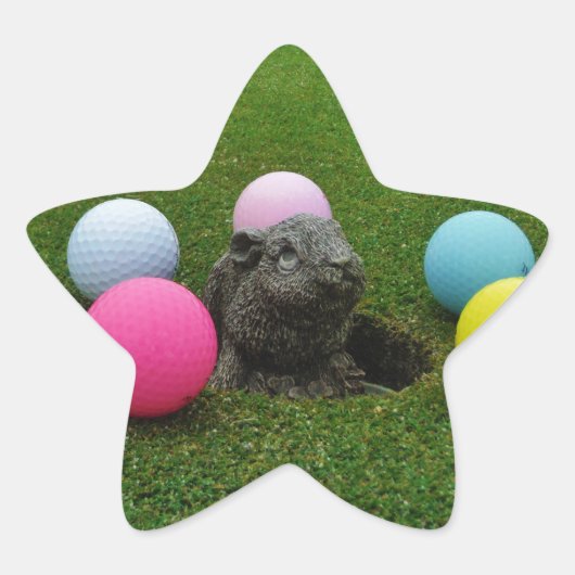 製品カスタマイズ 星シール (正面)