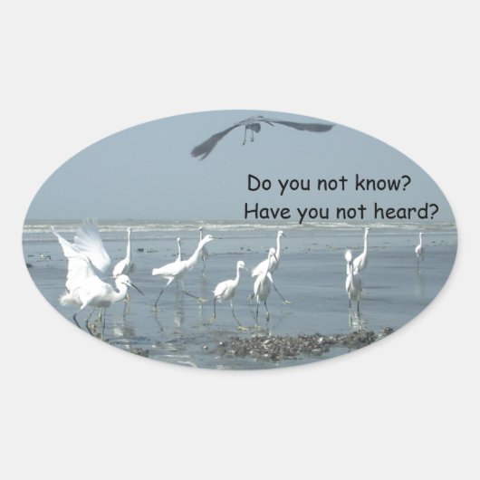 製品カスタマイズ 楕円形シール (正面)