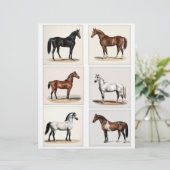 製紙用の美しい馬イラスト6個 (スタンド正面)