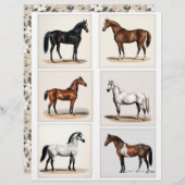 製紙用の美しい馬イラスト6個 (正面/裏面)