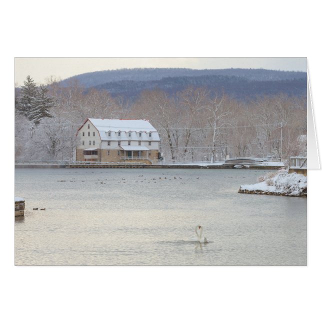 製造所および丘が付いている池の白鳥 (正面横)