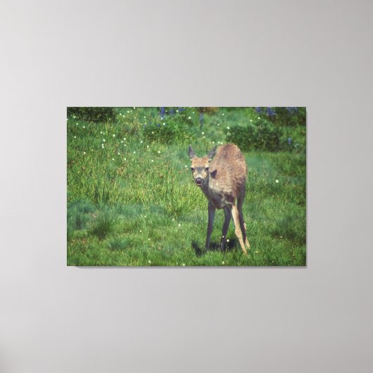 製造顔 キャンバスプリント (正面)