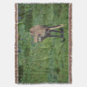 製造顔 スローブランケット (正面縦)