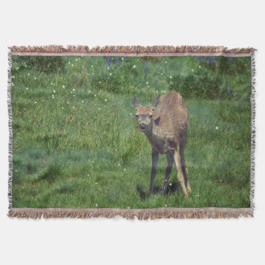 製造顔 スローブランケット (正面)