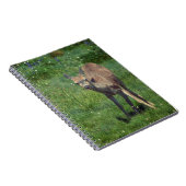 製造顔 ノートブック (右側)