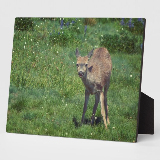 製造顔 フォトプラーク (側面)